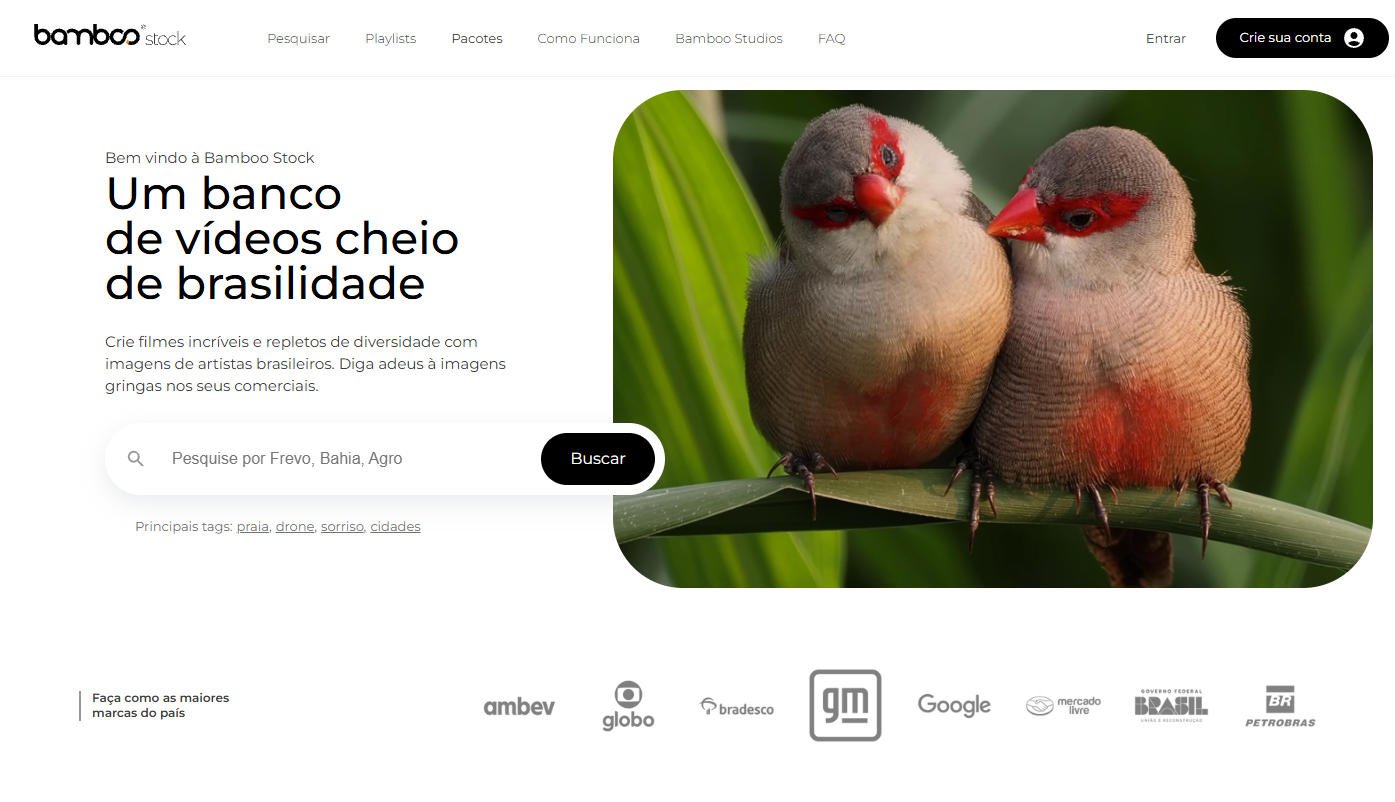 Print do site Bamboo Stock